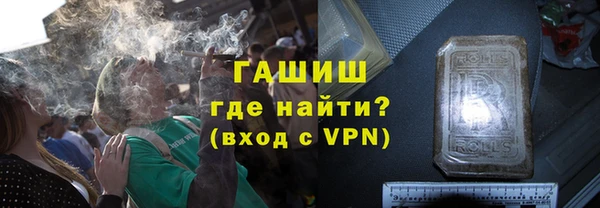 молекула духа Богородицк