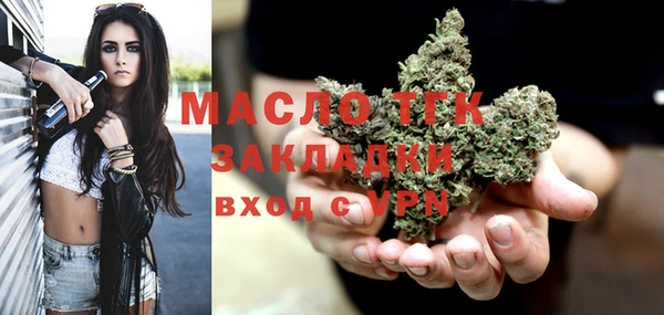 молекула духа Богородицк