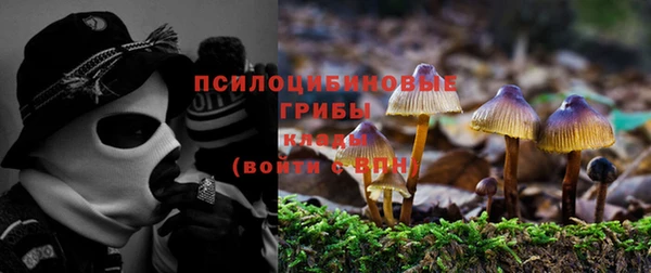 кристаллы Белоозёрский