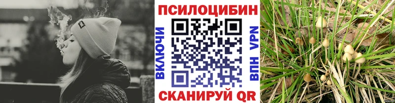 Галлюциногенные грибы Psilocybine cubensis  Самара 